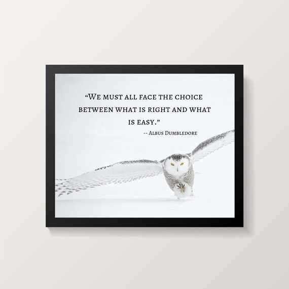 Hedwig Owl Harry Potter Quotes Wall Art in 5 Sizes Harry Etsy