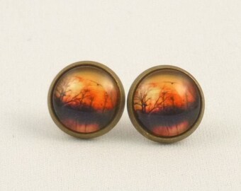 Bronze Cabochon Ohrstecker Ohrringe Bronze mit einem Cabochonmotiv Vogel 12 mm Geschenk für die Freundin