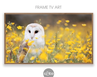 Barn Owl Photo for Samsung Frame TV: Summer Meadow Art (Digital Download)