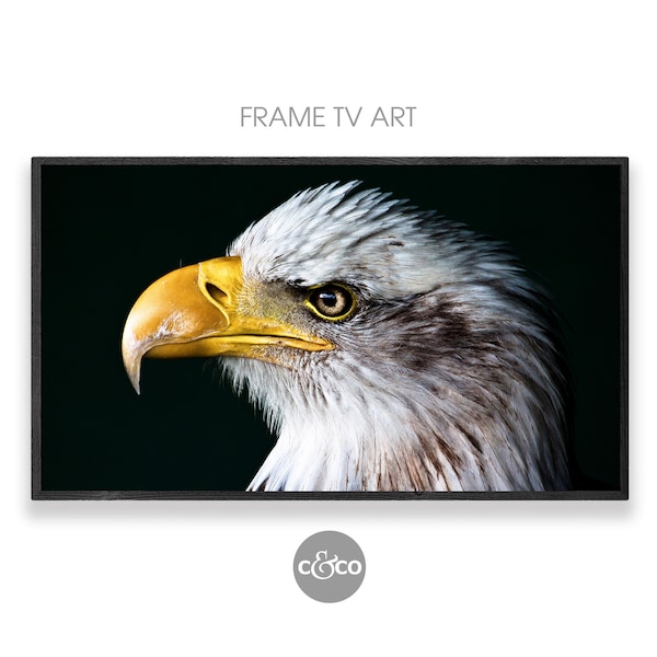 Samsung Frame TV Art | Photo of Bald Eagle | Cabin decor | bird of prey | nature photography | animal | Frame tv art 4k | digital download