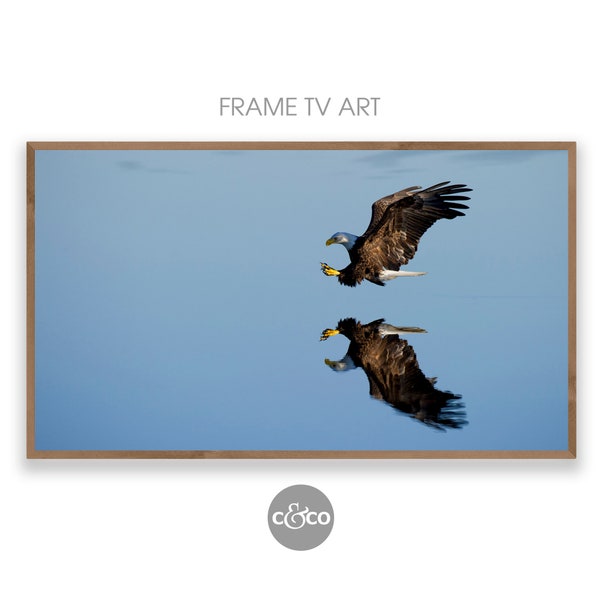 Photo of an Eagle for the Samsung Frame TV | art photography | bald eagle | bird of prey | blue | brown | Frame tv art 4k | digital download
