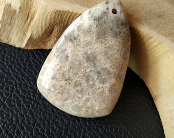 Kettenanhänger mit Bohrung - 2mm Loch / Edelstein / Heilstein / Fossile Koralle / Cabochon / Naturstein / Anhänger