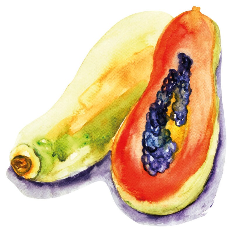 Wall Sticker Kitchen Fruit Watercolour Papaya Wall Sticker Etsy