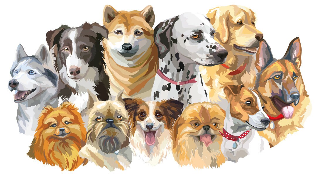 Wall decal dogs wall decal dog breeds group wall stickers Etsy