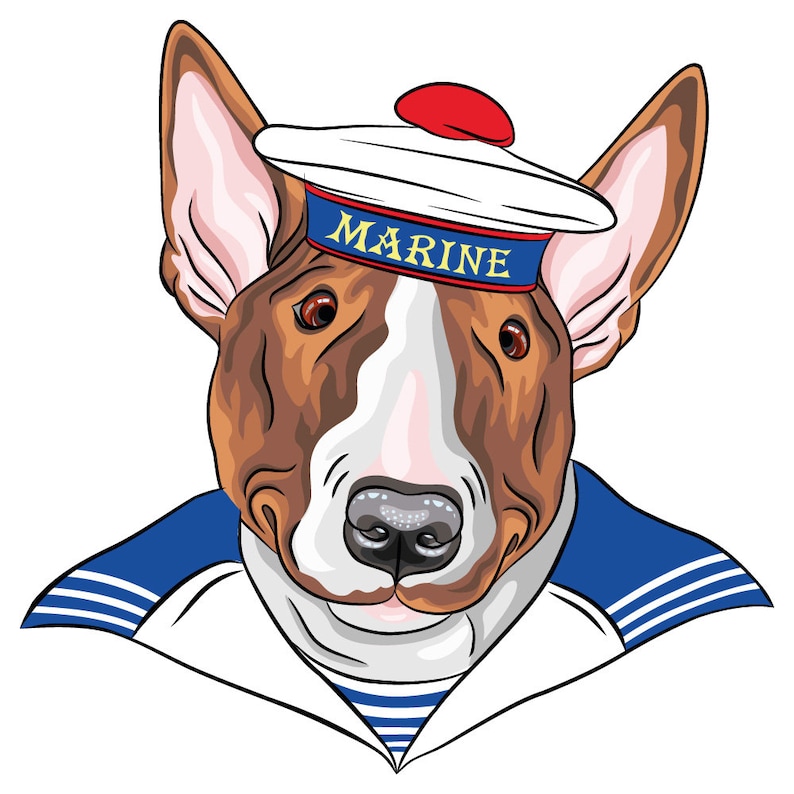 dog sailor outfit