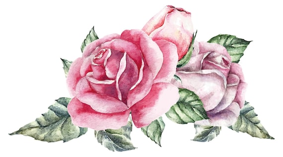 Wandtattoo Blumen Aquarell Rosenblüte weiß rosa Wandsticker