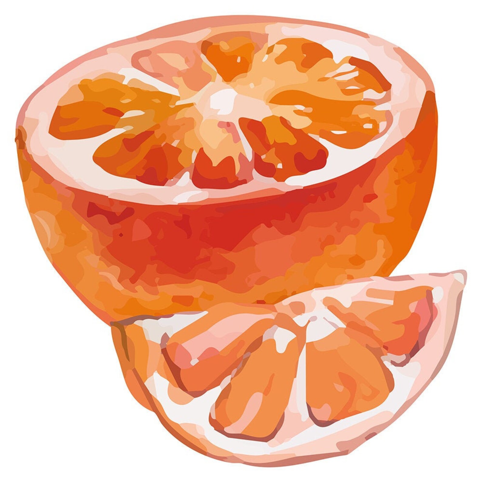 Wall Sticker Kitchen Fruit Watercolour Grapefruit Wall Etsy