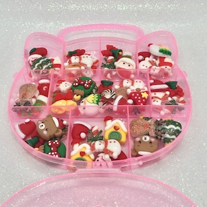 Bundle Pack of  Cabochons with Cat case
