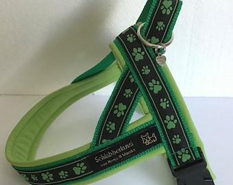 Norwegian harness “green paws”