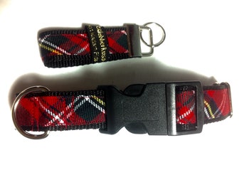 Collar in tartan