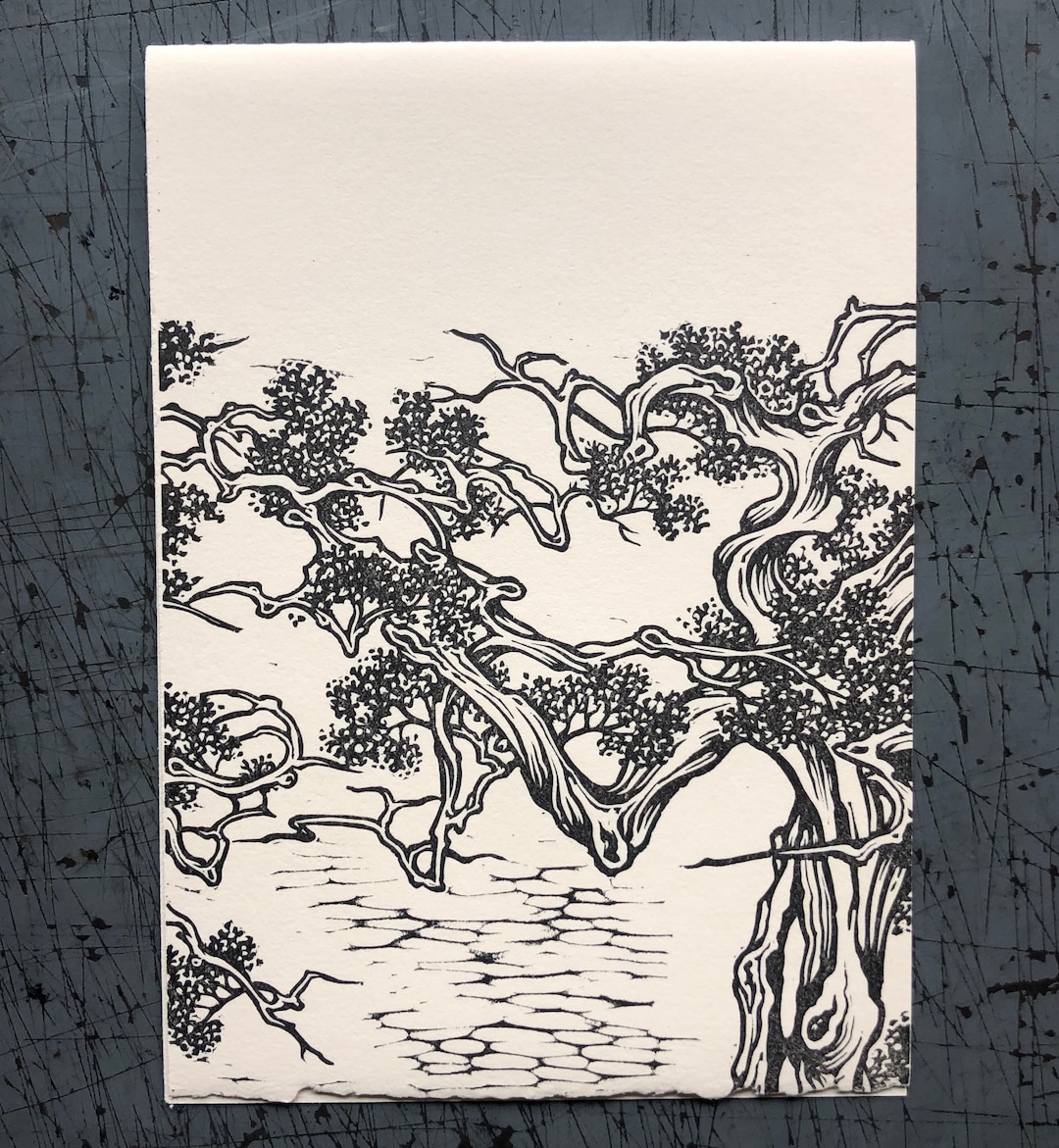 Juniper Card - Etsy