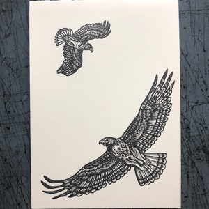 Red Tail Hawk Card