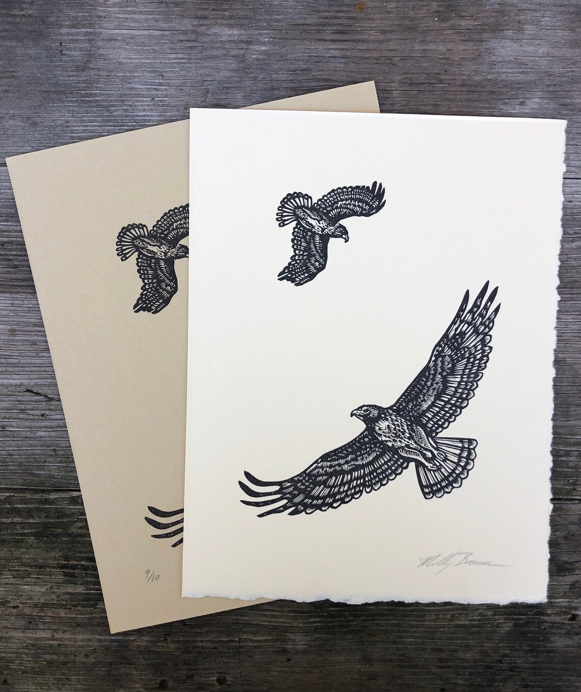 Hawk Rip Print Red Tailed Hawk Print - Etsy Canada