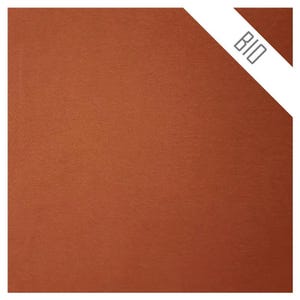 French Terry tinta unita ruggine organico
