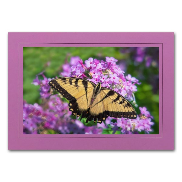 Butterfly Photo Note Card; Swallowtail Photo Greeting Card; Handmade card; Nature photo card; 4x6 print in 5x7 blank card; Frameable; M012