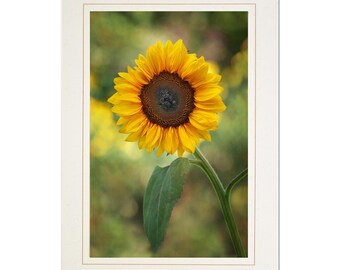 Sunflower with Bokeh Photo Note Card; Handmade Fall Greeting card; Autumn flower print; 4x6 print in 5x7 blank card; Frameable; Custom; F104