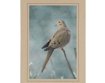 Mourning Dove Photo Note Card; Dove Card; Mourning Dove Print; Handmade Nature Card; 4x6 print in 5x7 blank card; Frameable in 5x7; B062