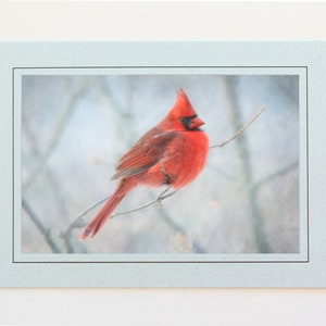 Cardinals PAT TILLMAN 8x10 Photo Mounted On A Custom Engraved
