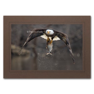 Bald Eagle Photo Note Card; Eagle with Fish Photography; American Eagle; Bald eagle wall art; 4x6 print in 5x7 blank card; Frameable; B088