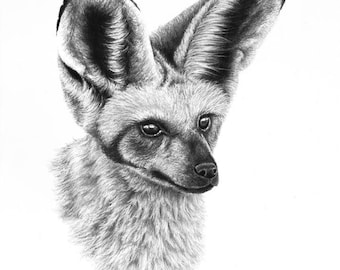 Batty (Limited Release) Andrew Bone