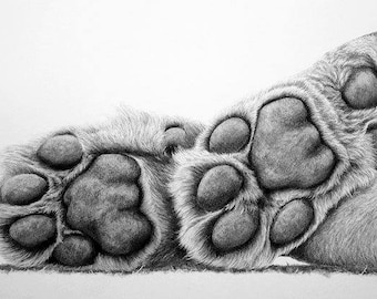 Paws for thought