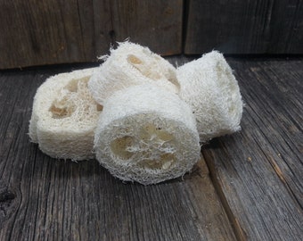 Loofah 1 inch slice - Loofah 1 inch slice