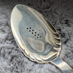 May include: Silver-toned serving spoon with a decorative fish design and a series of holes. The spoon has a scalloped edge and a long, slender handle. The fish are etched into the spoon's surface.