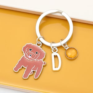 Personalisierter Cockapoo-Schlüsselanhänger – Geschenk für Hundeliebhaber, Cavapoo, Goldendoodle, Poochon, Zwergpudel