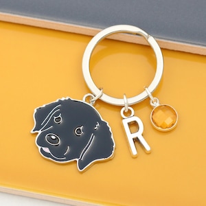 Llavero personalizado de Labrador Retriever negro - Regalo de Labrador negro, Regalo personalizado para mascotas, Recuerdo conmemorativo,