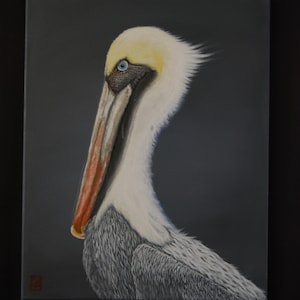 Original Pelican Acrylic Painting