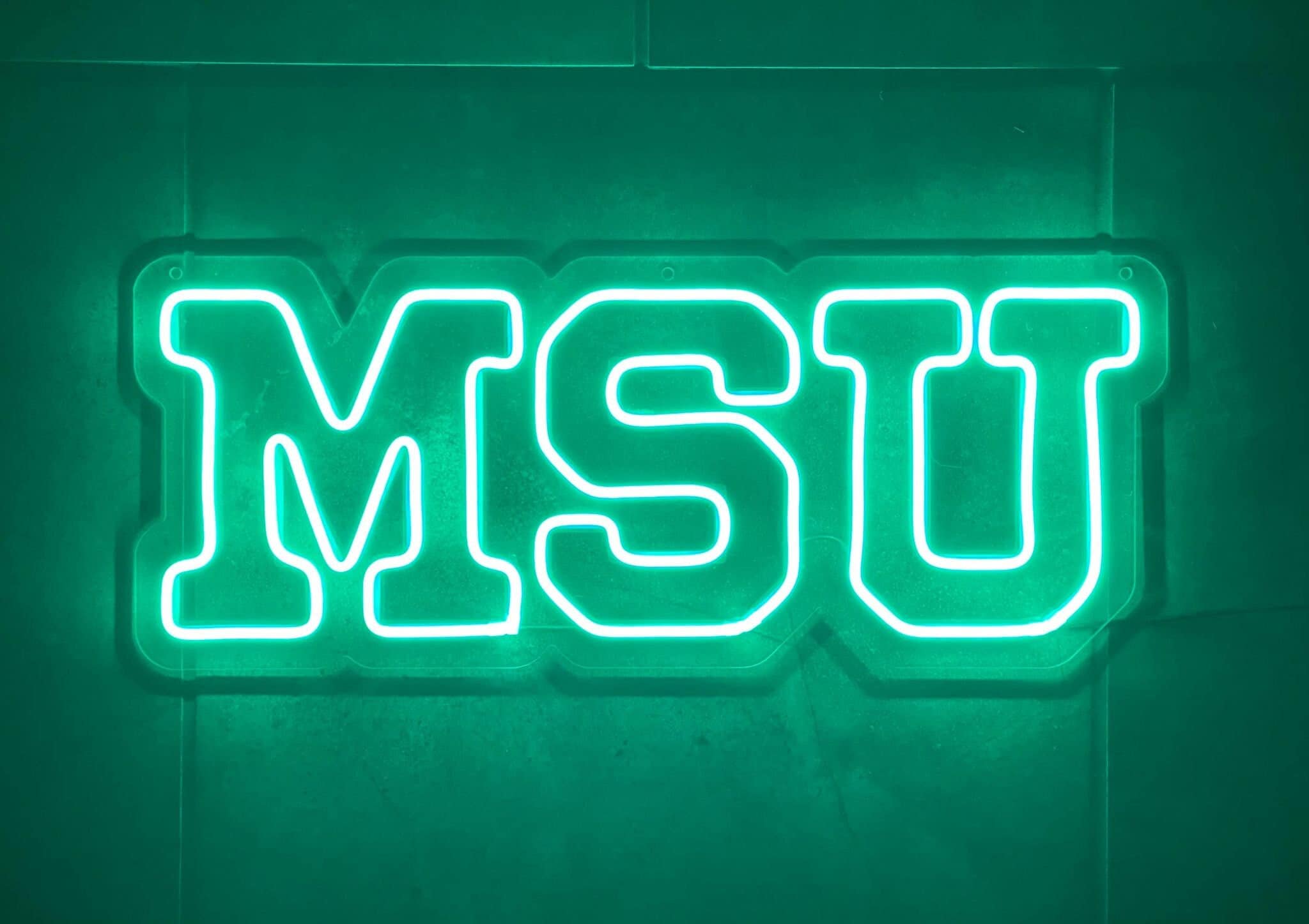 Msu Led Sign Michigan State University MSU LED Neon Sign - 22.5