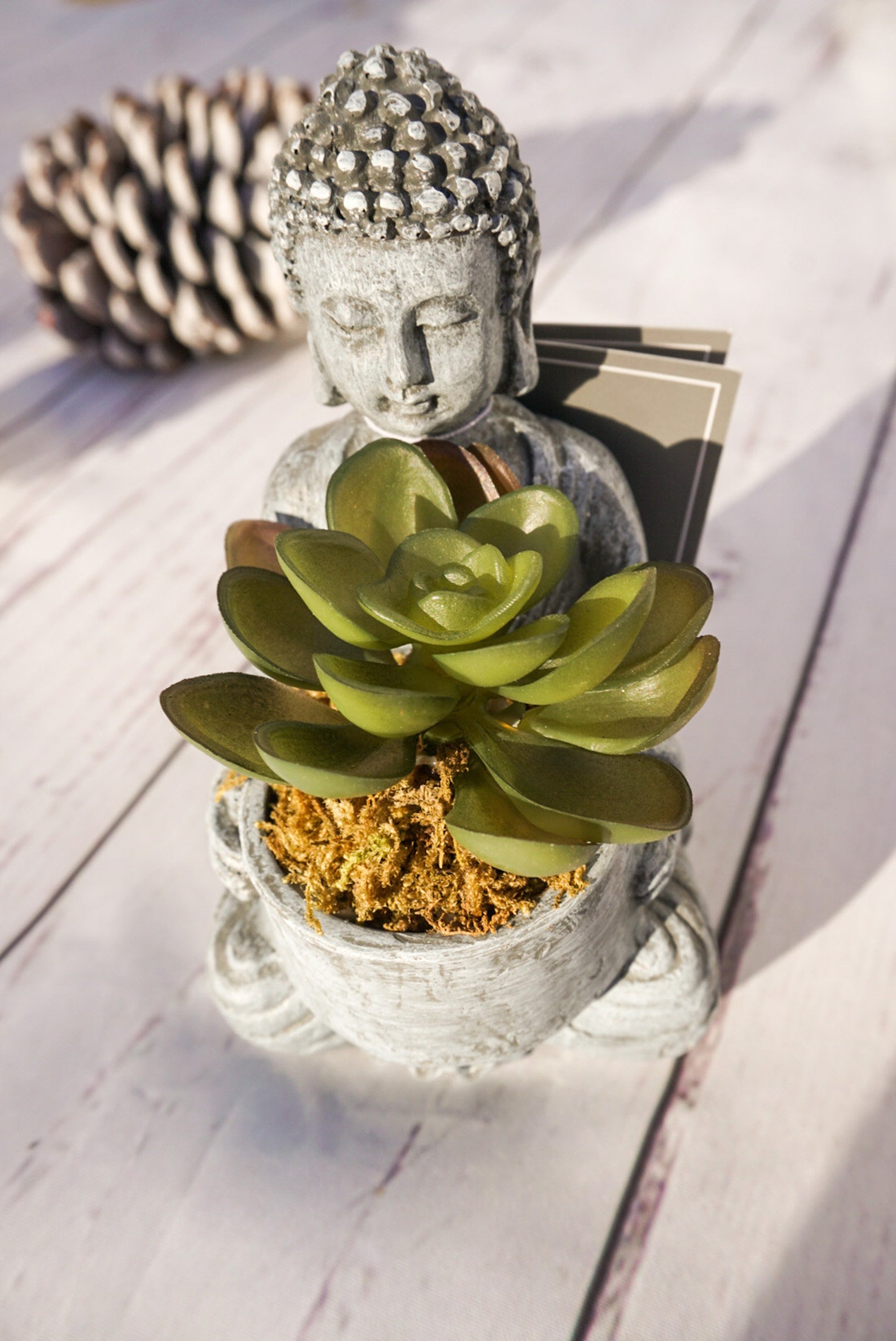 Decorative Buddha With Succulent Decorative Plant pot / Etsy