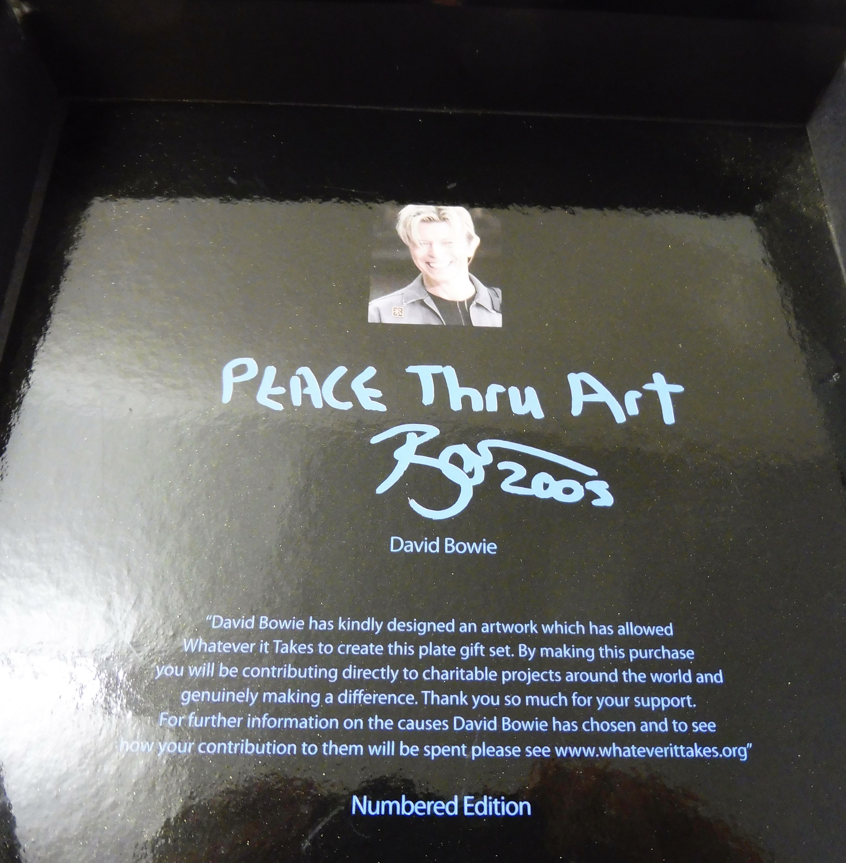 能登半島地震David Bowie アートプレート Whateverittakes Artist Plate David Bowie Peace Thru Art Porcelain