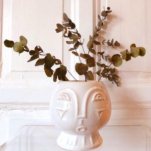 Puede incluir: Un jarrón de cerámica blanco con diseño de rostro, que sostiene ramas de eucalipto secas. El jarrón tiene un cuerpo redondo con rasgos faciales, incluyendo ojos, nariz y boca. El eucalipto tiene hojas verdes y marrones.