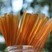 see more listings in the Honey & Honey Sticks section