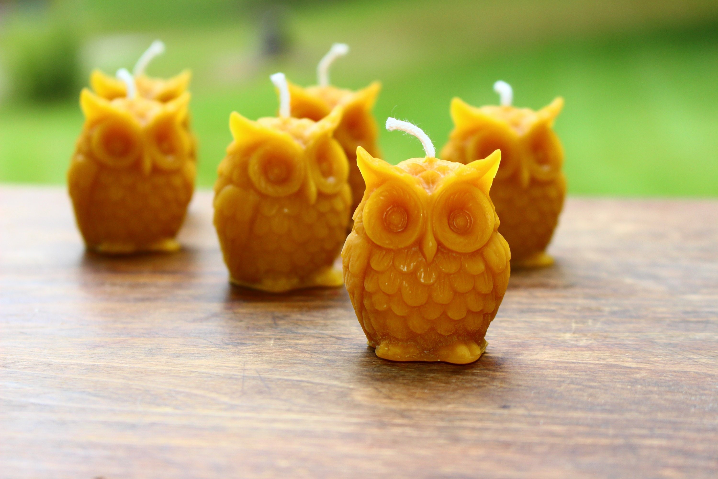 Owl Beeswax Candle Handmade Pure Beeswax Owl Shaped Candles Etsy