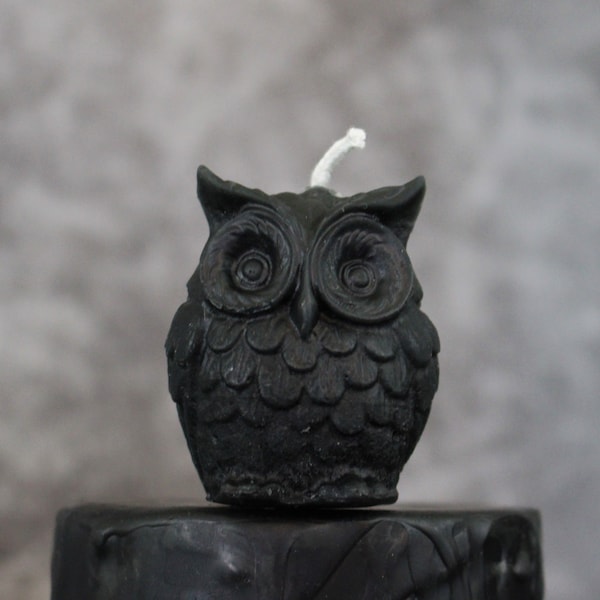 Black Owl Beeswax Candle,  Handmade Pure Beeswax Owl Shaped Candles, Owl Lover Gift, Halloween Owl Birthday Candle Favor