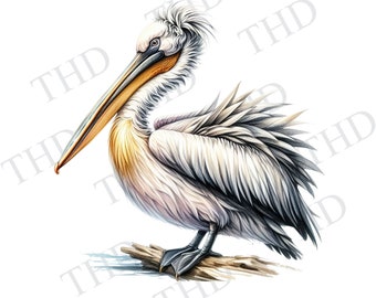 Pelicano costeiro, náutico, praia, PNG, clipart para sublimação/prensa térmica