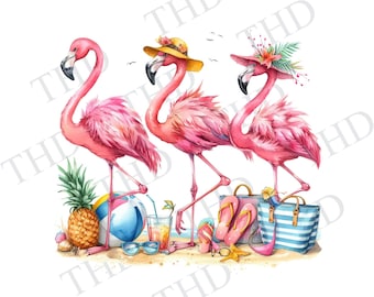Beach Flamingo Friends png/clipart