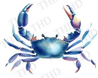 Granchio blu ad acquerello png/clipart