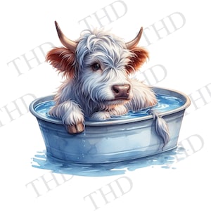 Funny Highland Cow Downloadable Image, Clipart / PNG Image