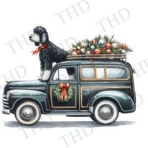 Doodle Dog Christmas, Labradoodle blanco y negro, Station Wagon vintage, regalos de Hanukkah, PNG, imágenes prediseñadas para sublimación/prensa de calor