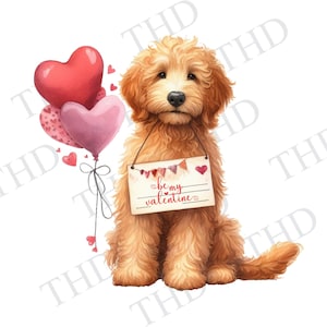 Valentine Goldendoodle PNG, Clipart pour sublimation/presse à chaud/graphique/design