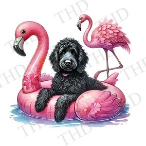 Larbradoodle Hund im Wasser schwimmen, Flamingo Float Herunterladbare JPG / PNG, Design für T-Shirts, Hüte, Tassen, Taschen, Karten