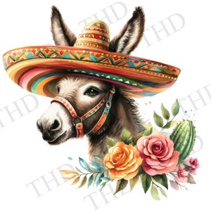 Cinco De Mayo Donkey png/clipart