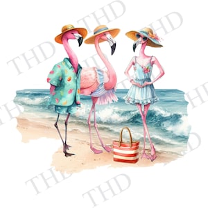 Beach Flamingos png/clipart