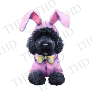 Perro Labradoodle Negro Conejito de Pascua png/clipart