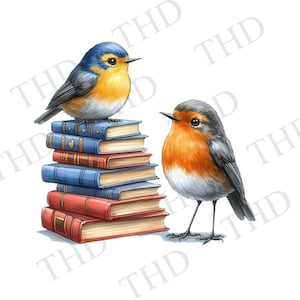 Pássaros e livros Imagem para download, jpg/png/clipart