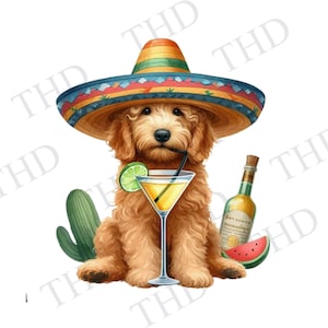 Cinco De Mayo Goldendoodle Hund png / jpg Clipart