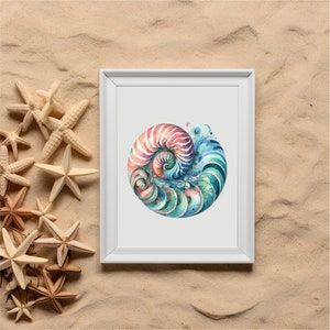 Nautilus Shell Png/clipart - Etsy